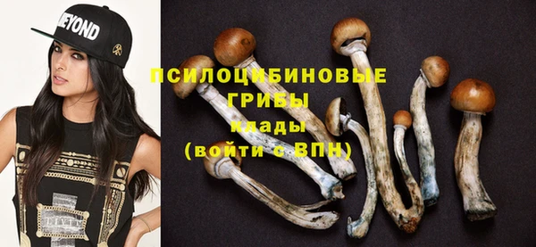 дживик Алексеевка