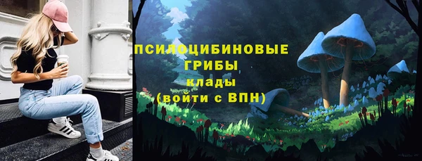 спиды Алзамай